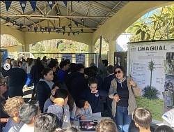 ESCUELA TERESA CAMMON  QUILIMARI
